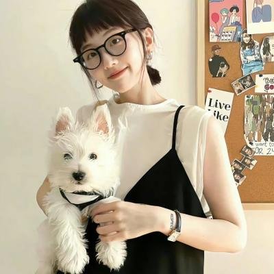 八达城英雄传